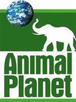 Animal Planet HD